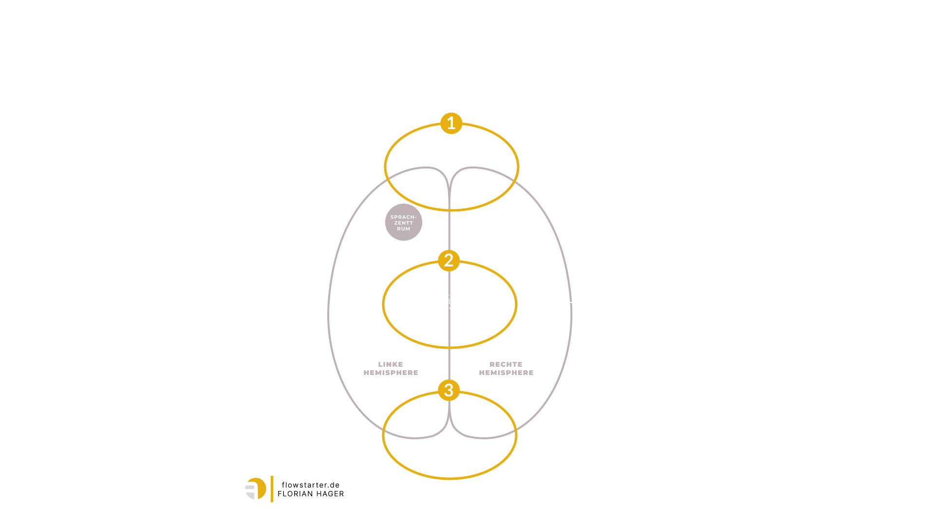 Das 3-Kanal-Modell: Frontallappen (Kognition), Limbisches System (Emotion), Hirnstamm (Koerper/Nervensystem) - drei Gehirnebenen fuer nachhaltige Veraenderung. Flowstarter / Florian Hager