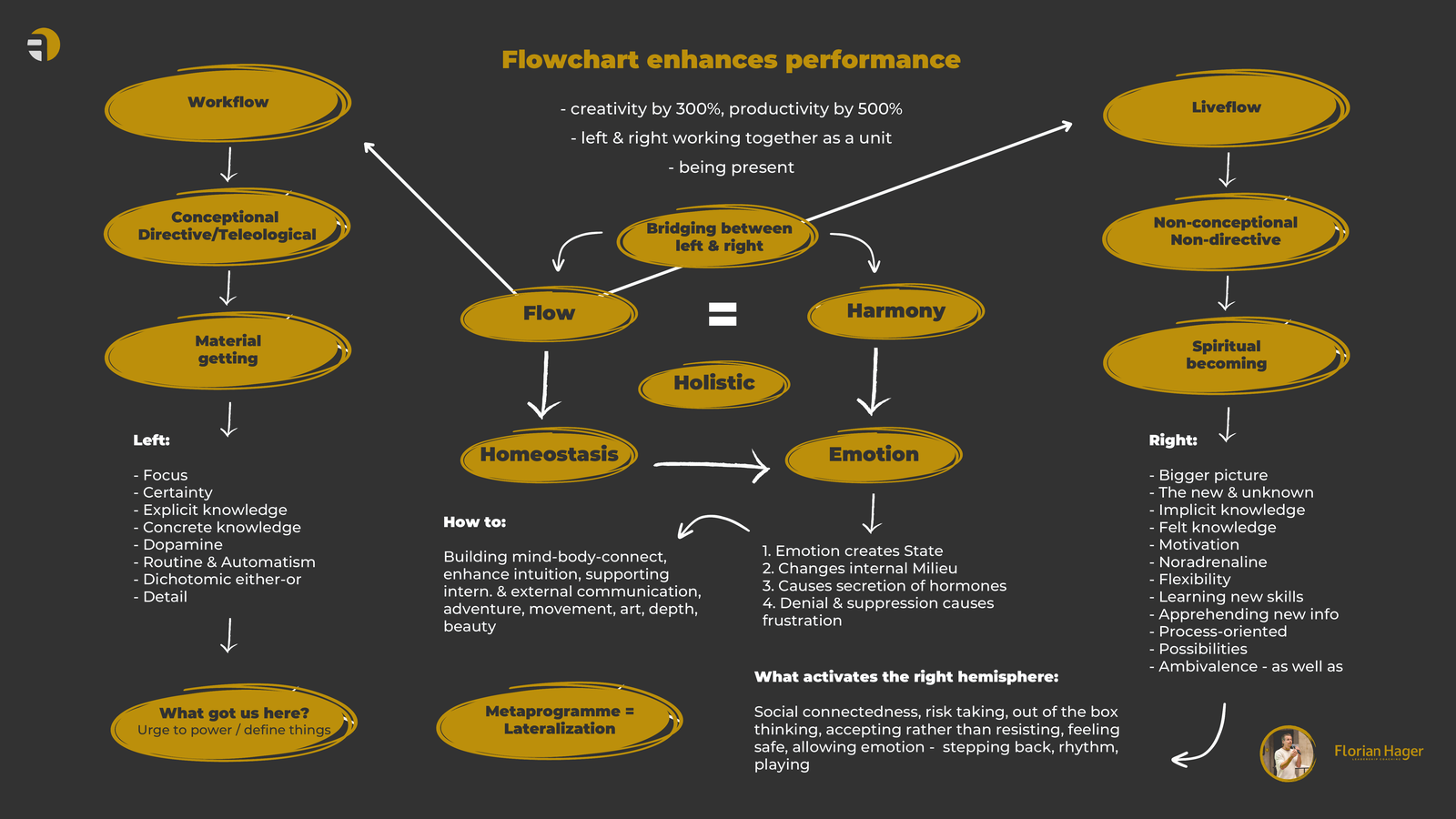 Flowchart-Modell: Workflow (linke Hemisph&auml;re, Dopamin) + Liveflow (rechte Hemisph&auml;re, Noradrenalin) = Flow durch Hom&ouml;ostase und Harmonisierung beider Gehirnh&auml;lften.